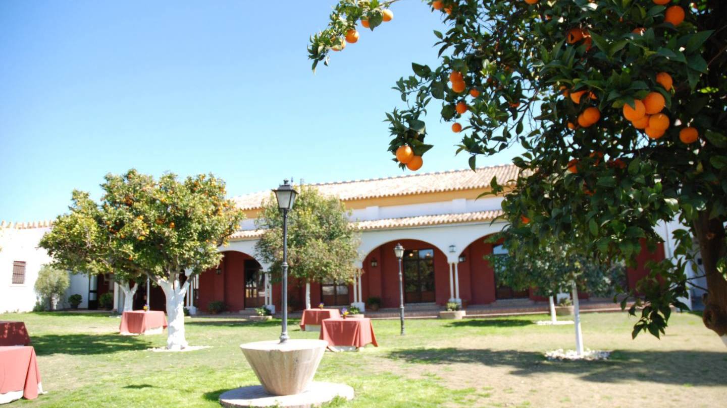 Hacienda Mejina 7 Hacienda Mejina 7