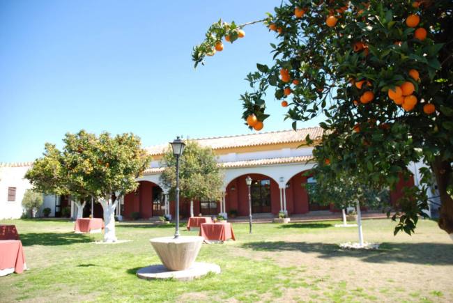Hacienda Mejina 7