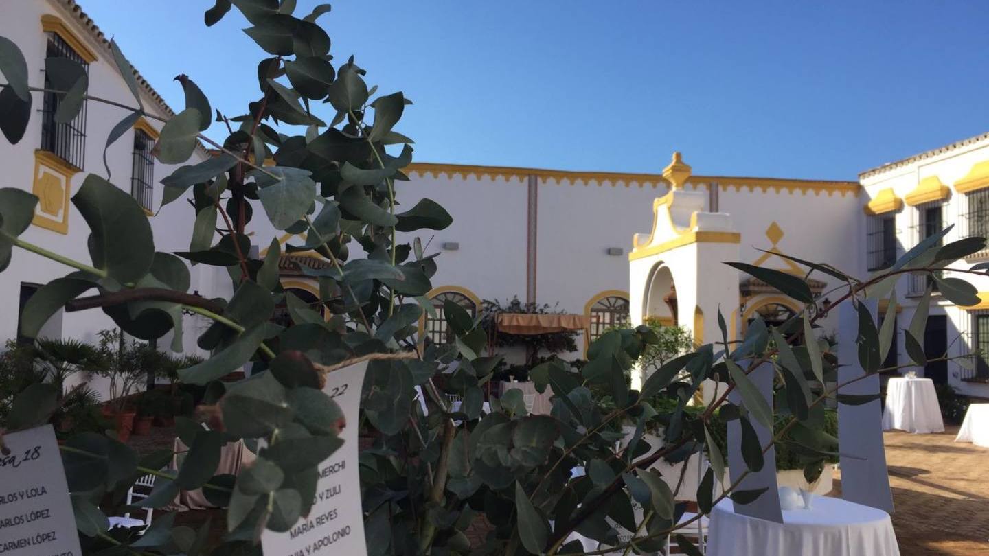 boda-casi-invernal_5314 boda-casi-invernal