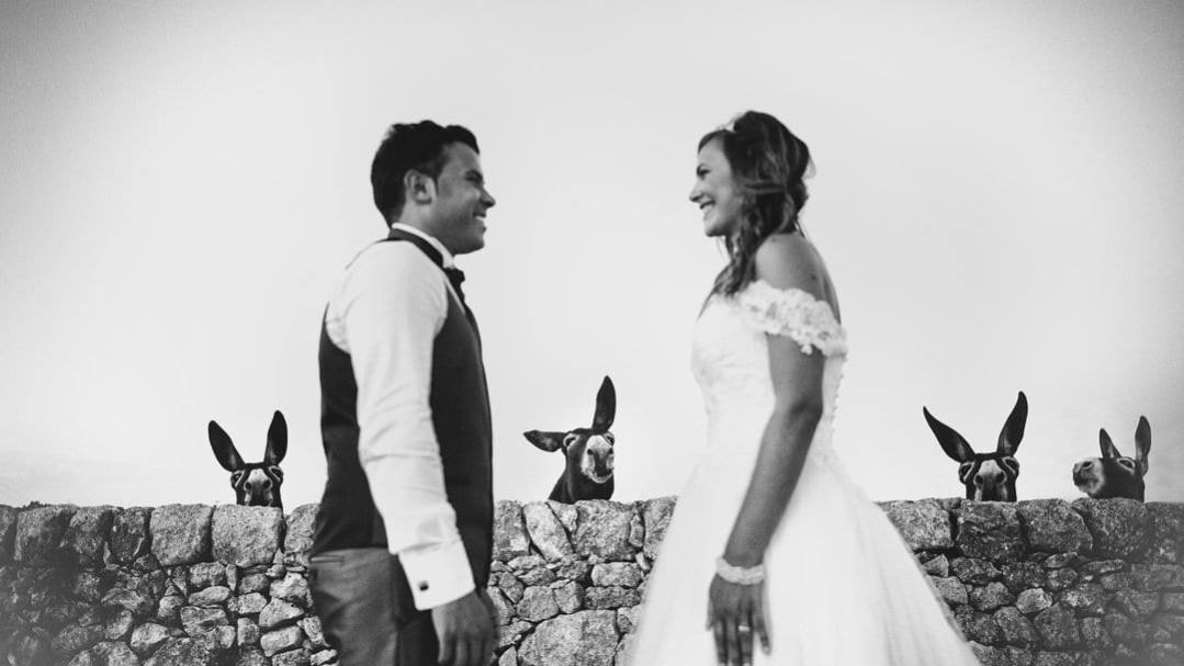 momentos-de-una-boda