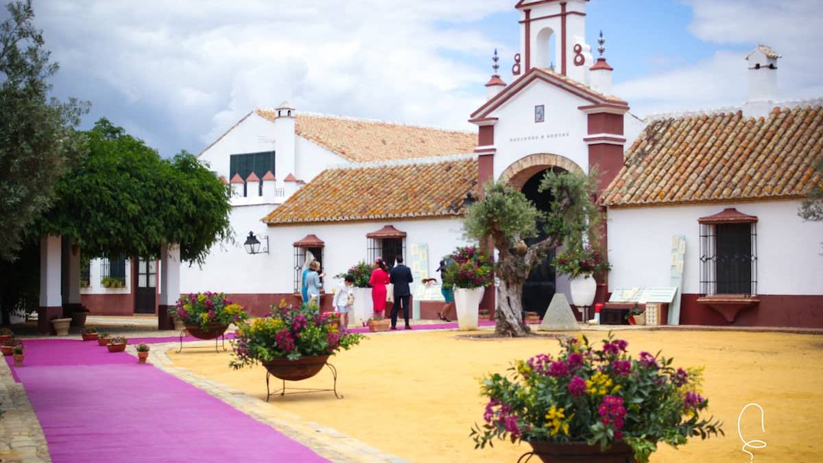 Hacienda-medina_5786 Hacienda-medina