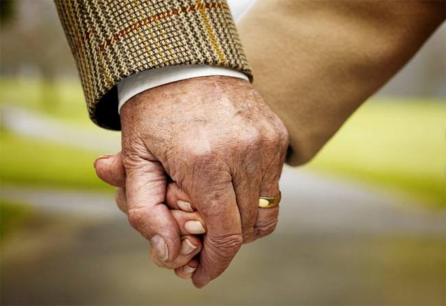 boda-de-oro boda-de-oro